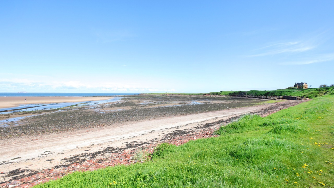 Photo of Others in Dunbar