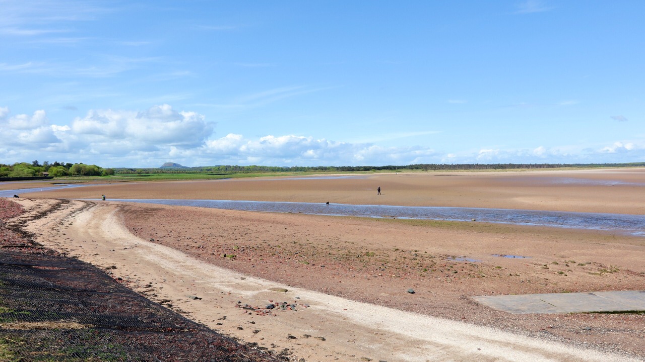 Photo of Others in Dunbar