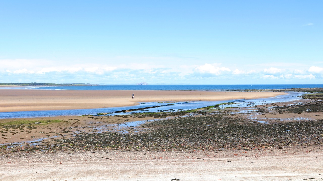 Photo of Others in Dunbar