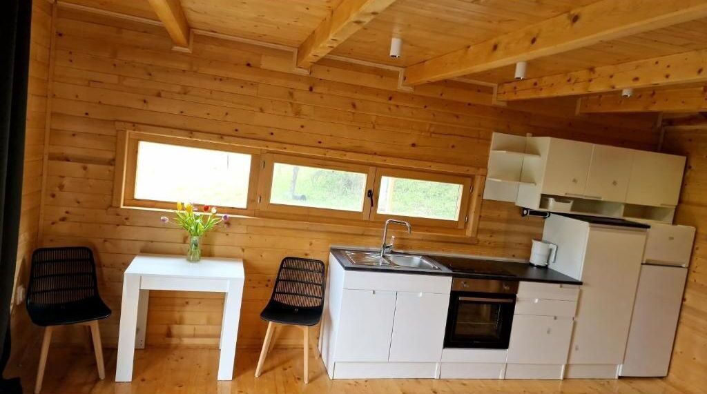 Photo of Kitchen in Vojvodina