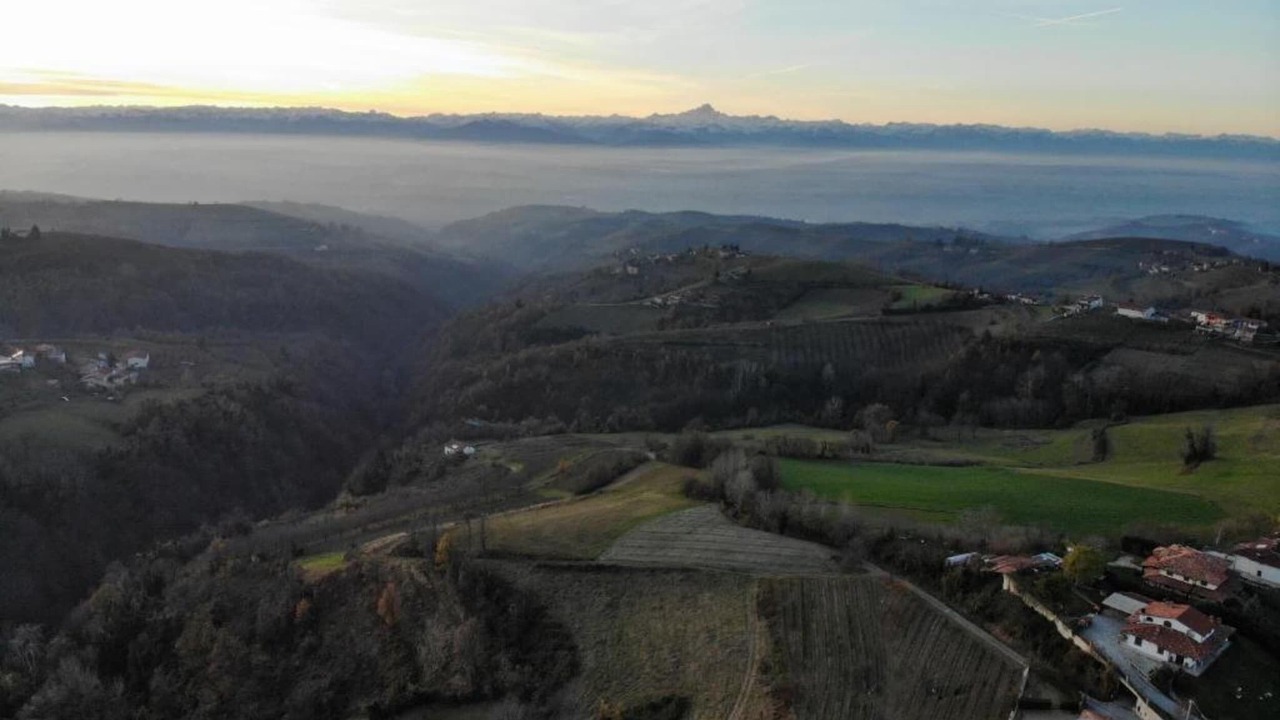 Photo of Others in Belvedere Langhe