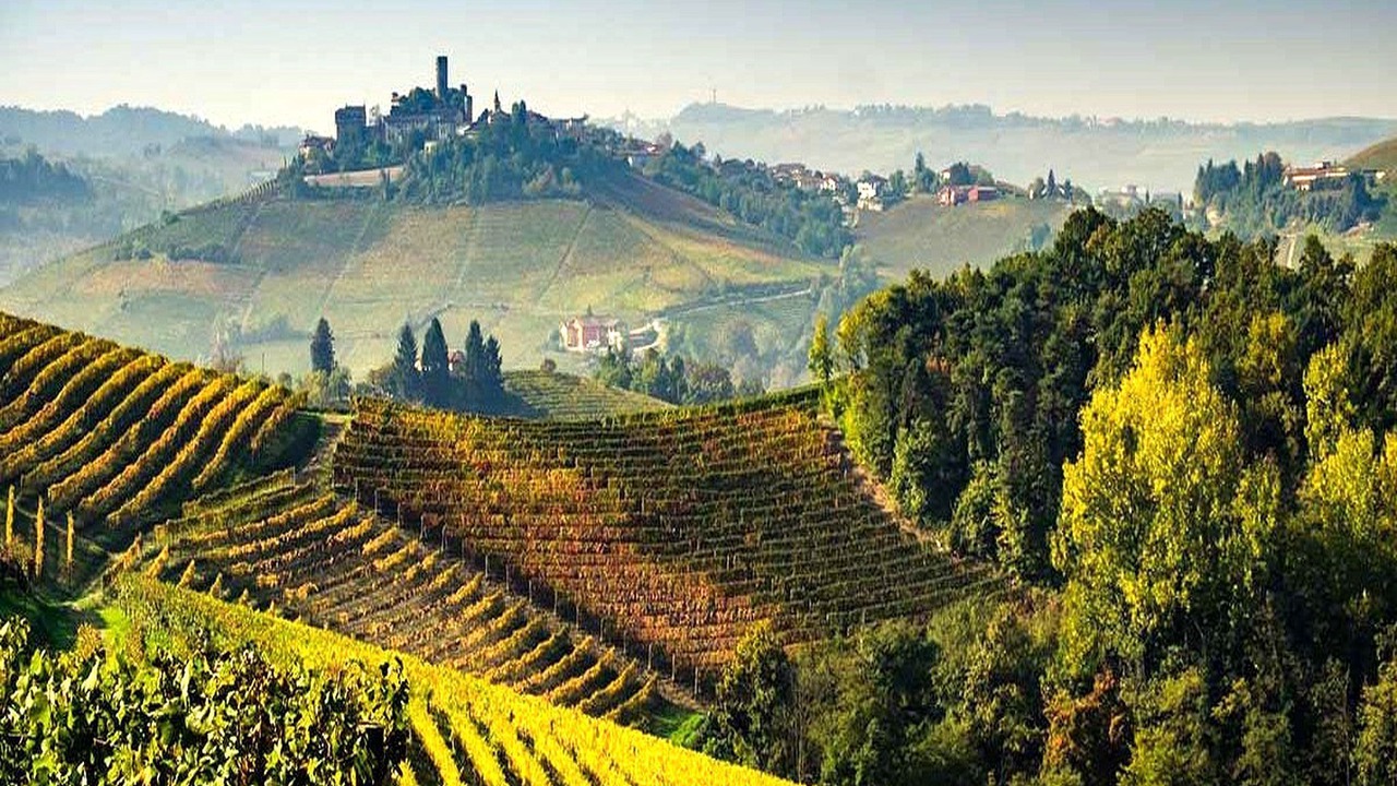 Photo of Others in Belvedere Langhe