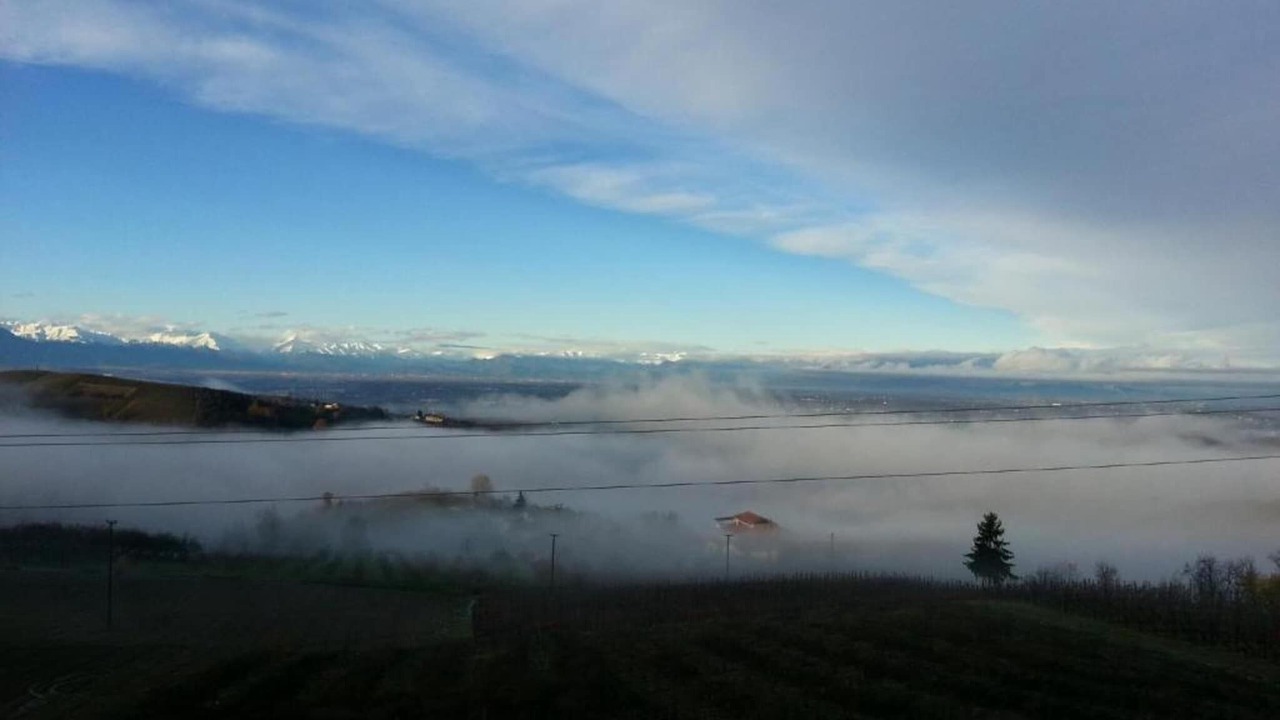 Photo of Others in Belvedere Langhe