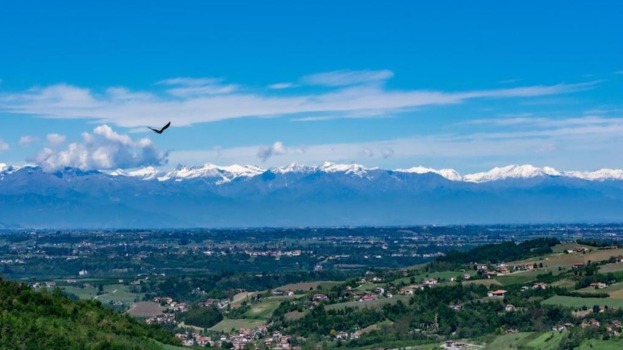 Photo of Others in Belvedere Langhe