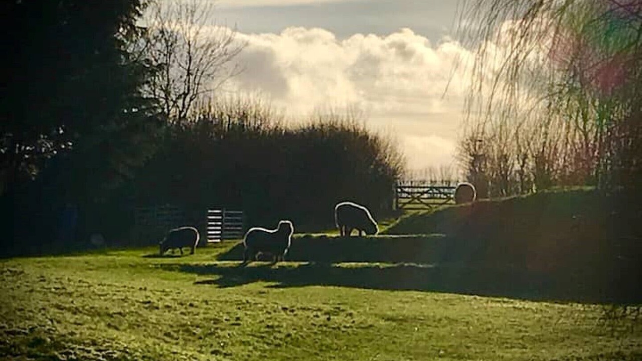 Photo of Others in Bourn