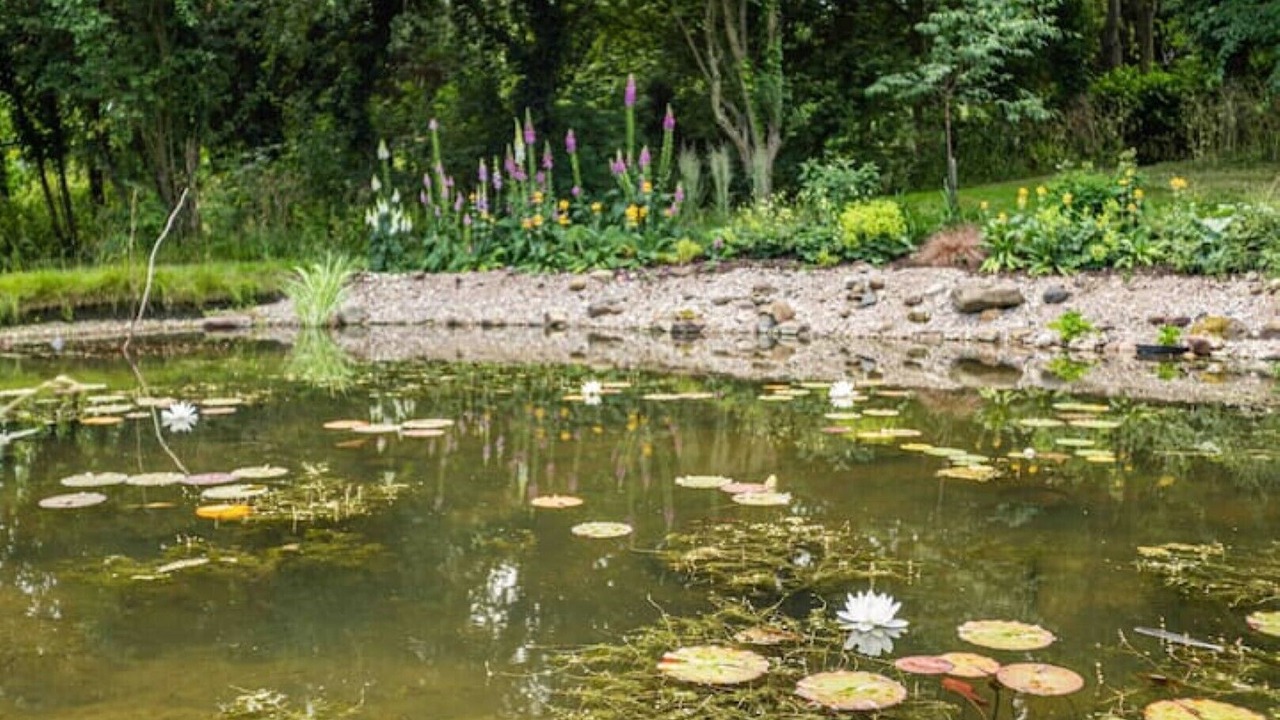 Photo of Outdoor in Bourn