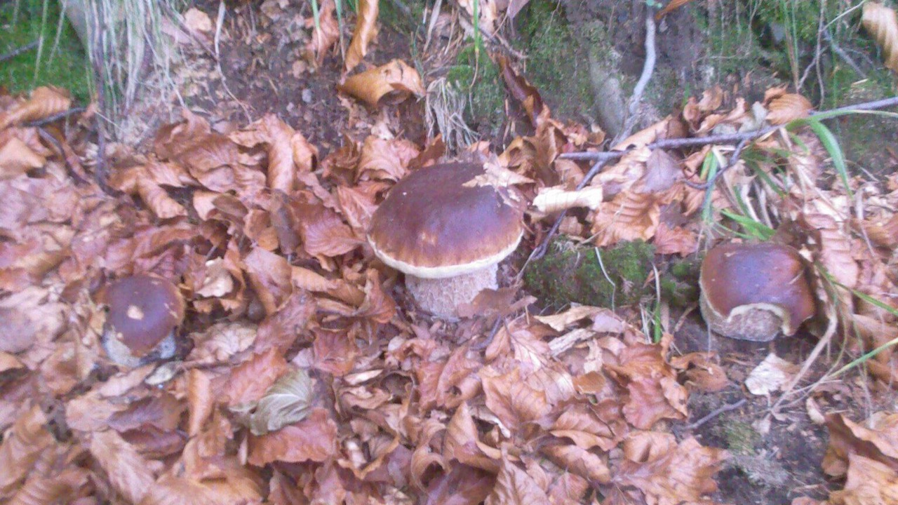 Photo of Outdoor in Masero