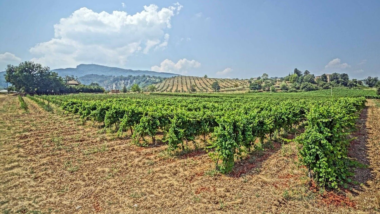 Photo of Others in Castignano