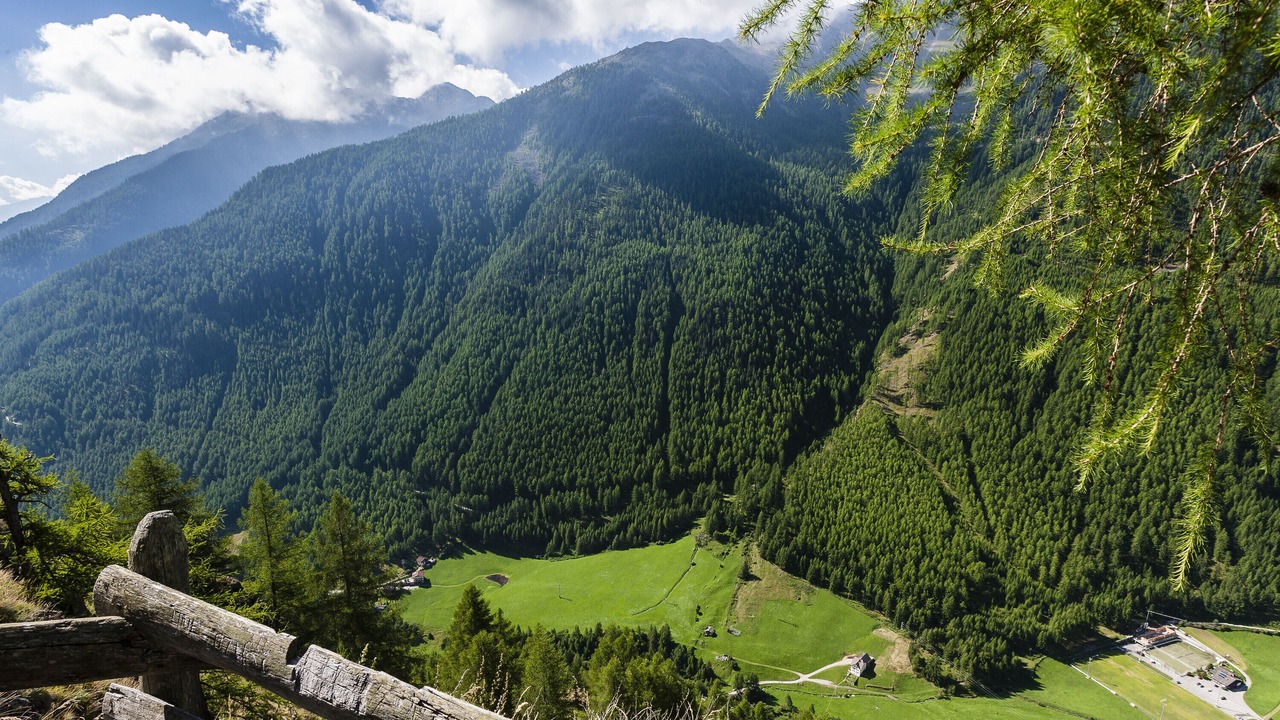 Photo of Others in Madonna di Senales