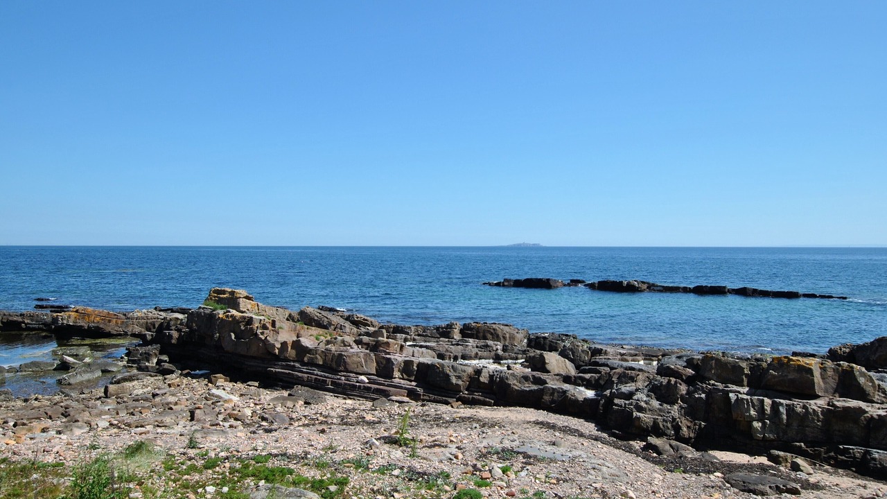Photo of Others in Cellardyke