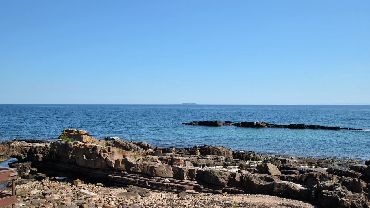 Photo of Others in Cellardyke
