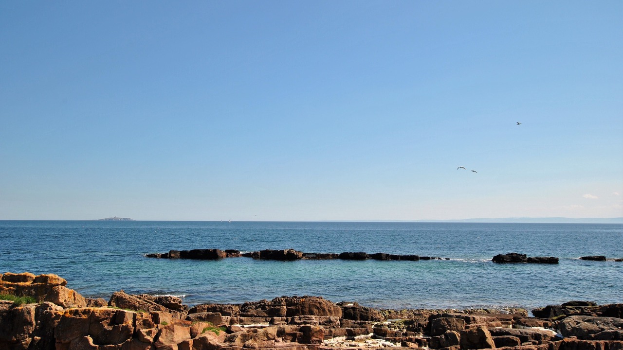 Photo of Others in Cellardyke