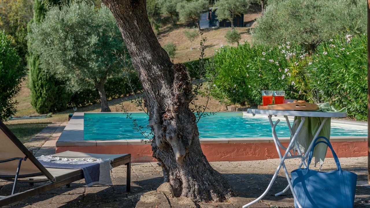 Photo of Outdoor in Mogliano