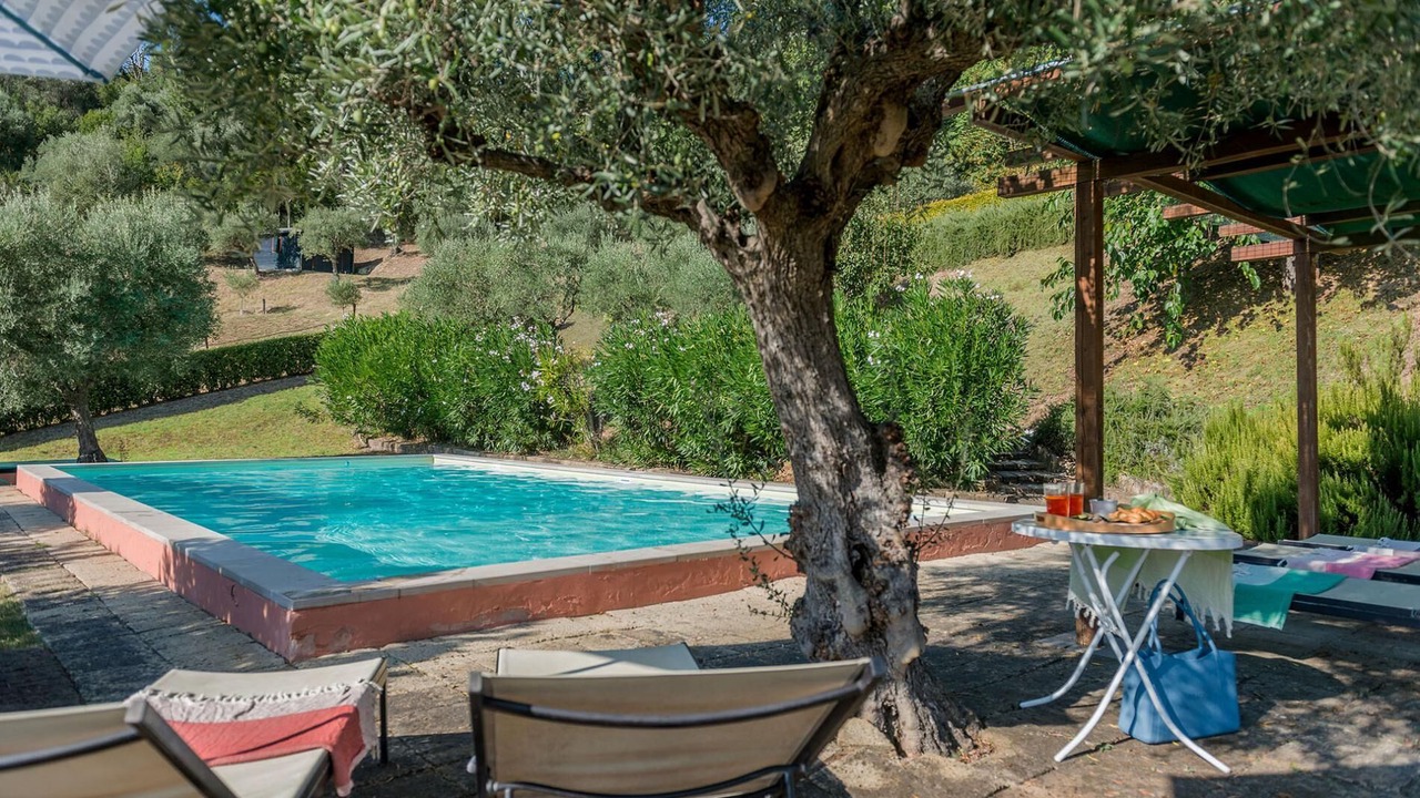 Photo of Outdoor in Mogliano