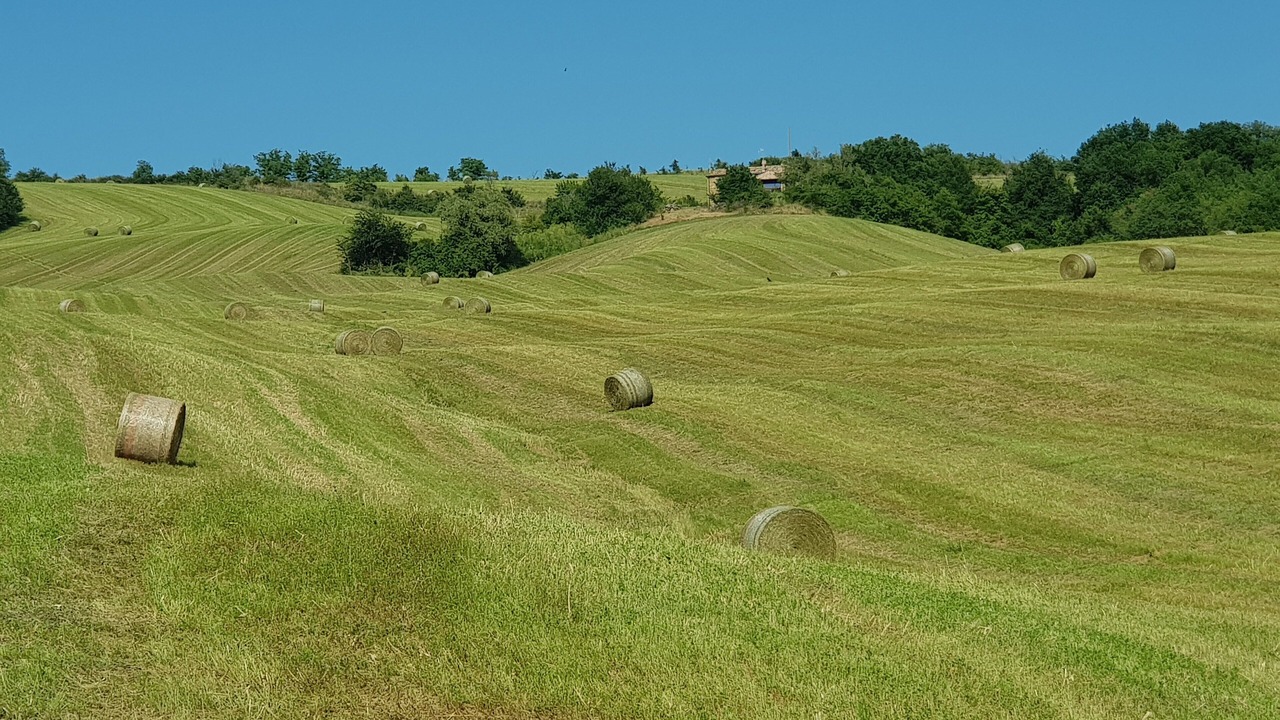 Photo of Others in San Leo
