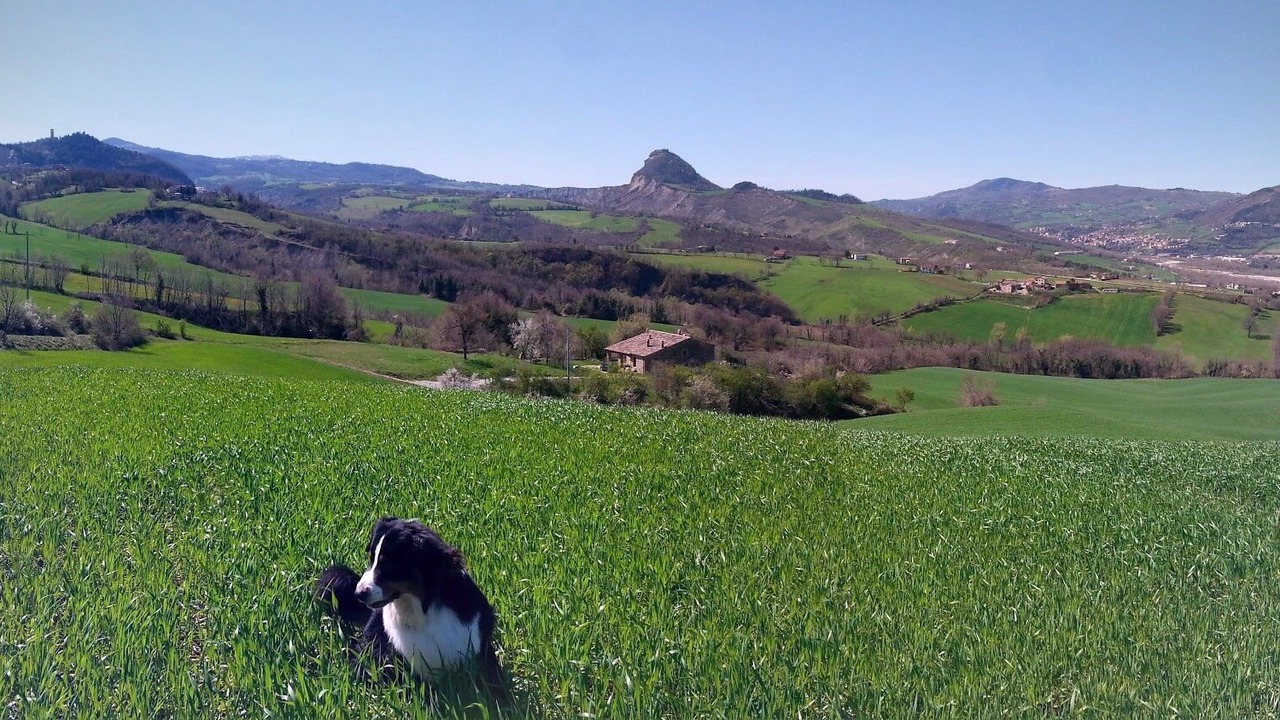 Photo of Outdoor in San Leo