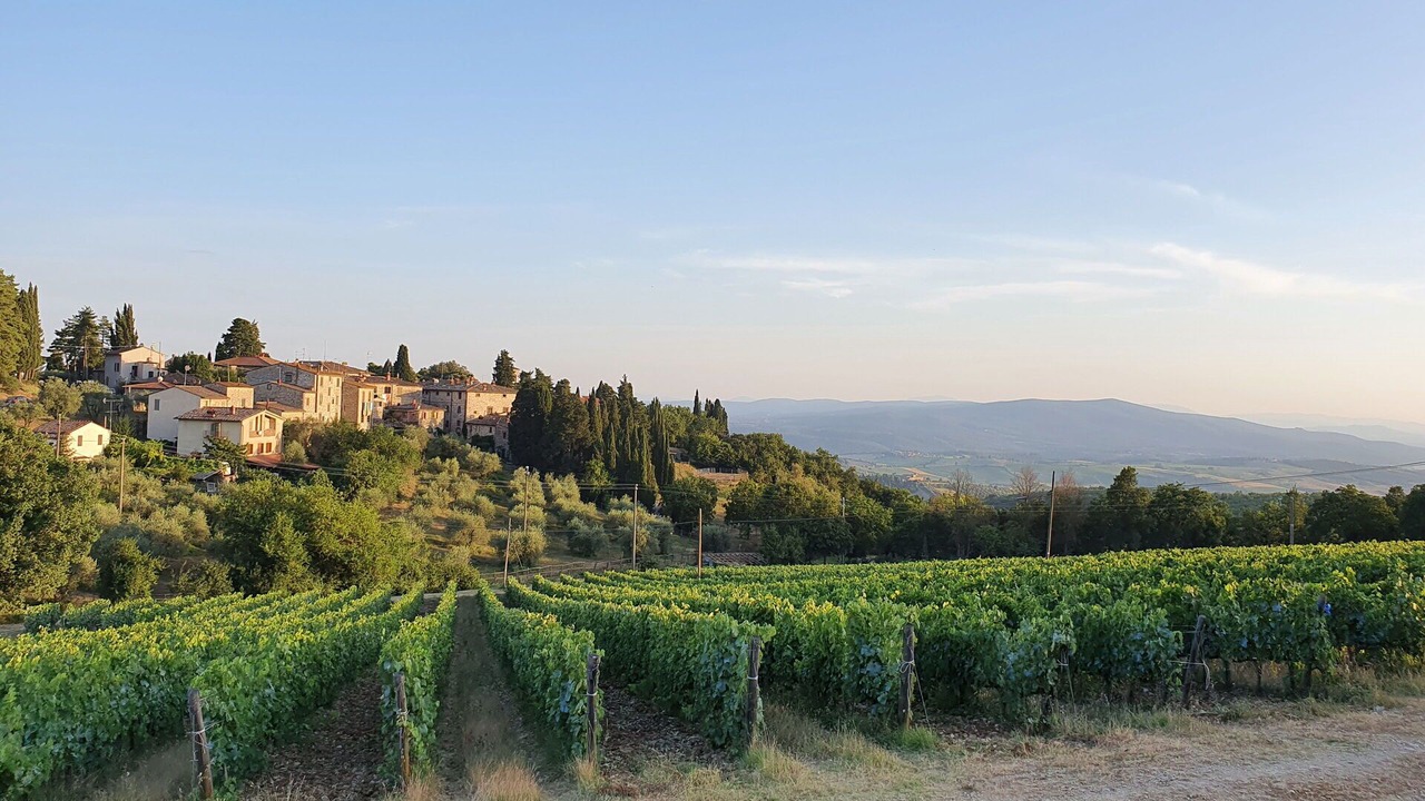 Photo of Outdoor in Fonterutoli