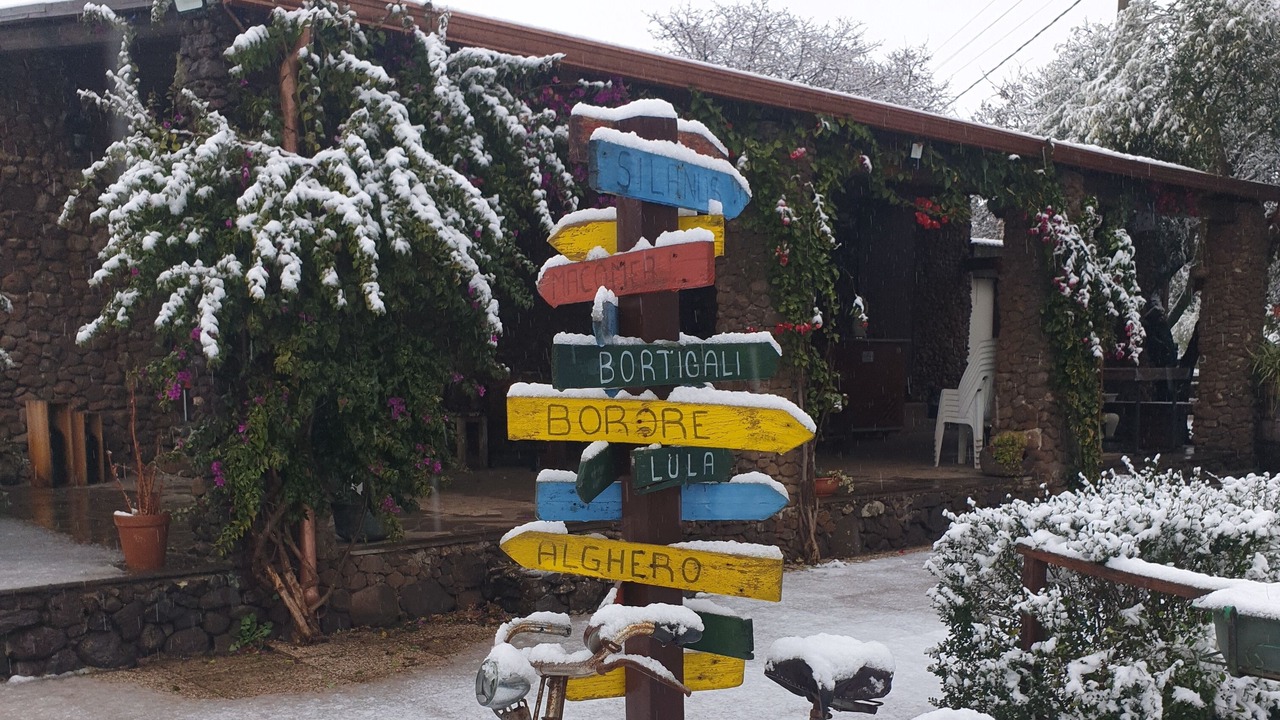 Photo of Outdoor in Borore
