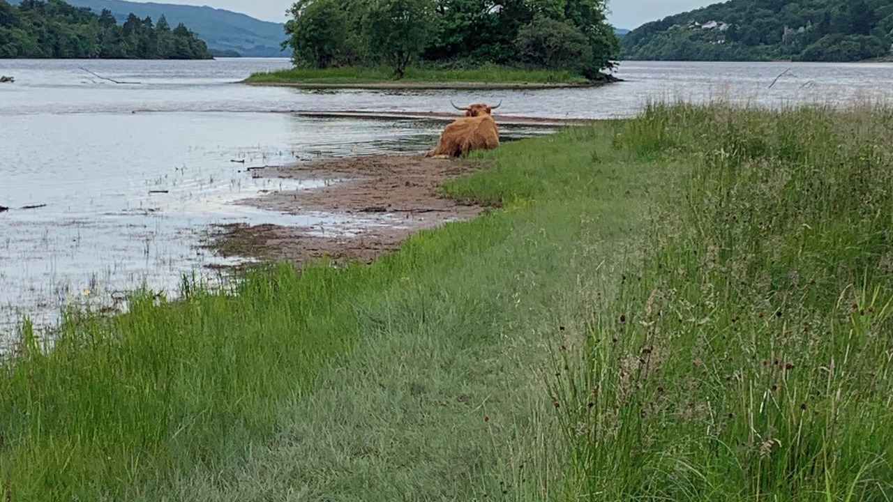 Photo of Others in Benderloch