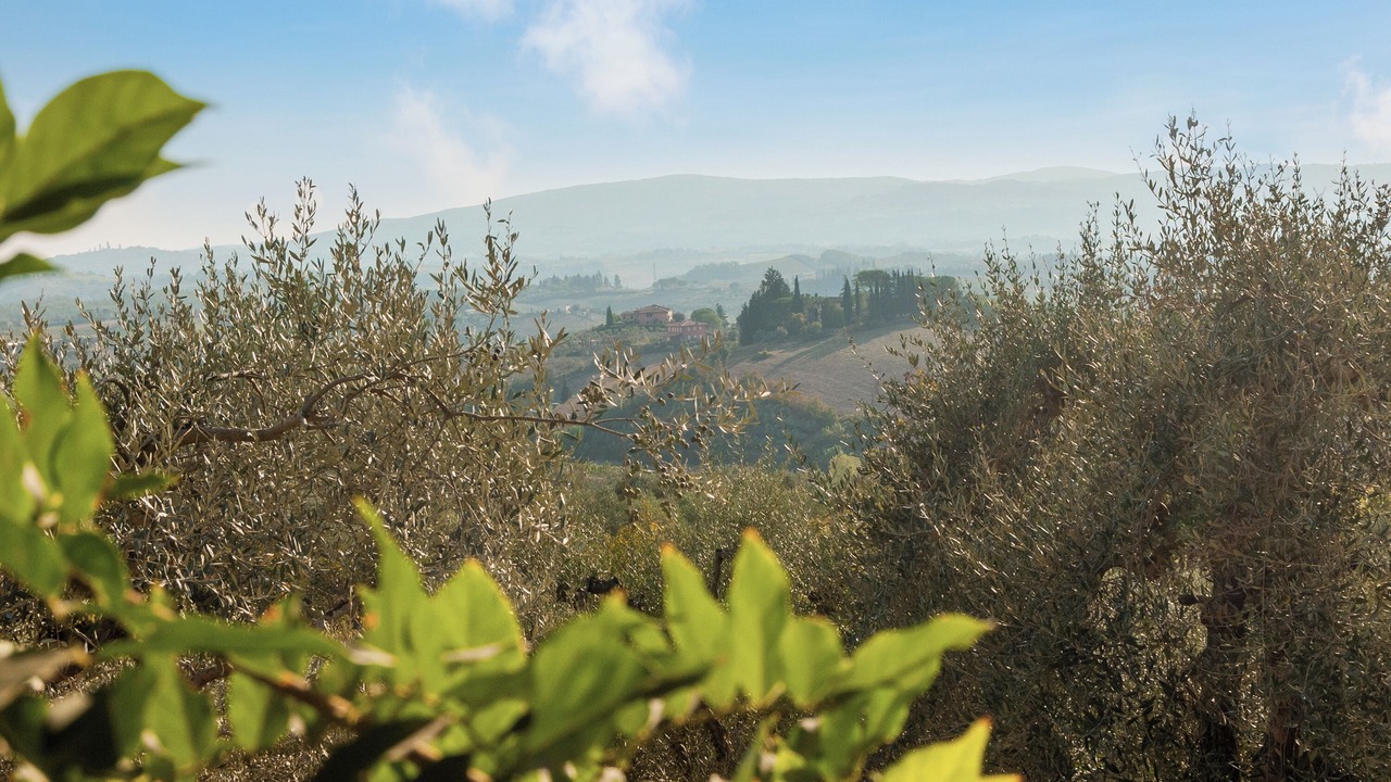 Photo of Others in Gorgognano