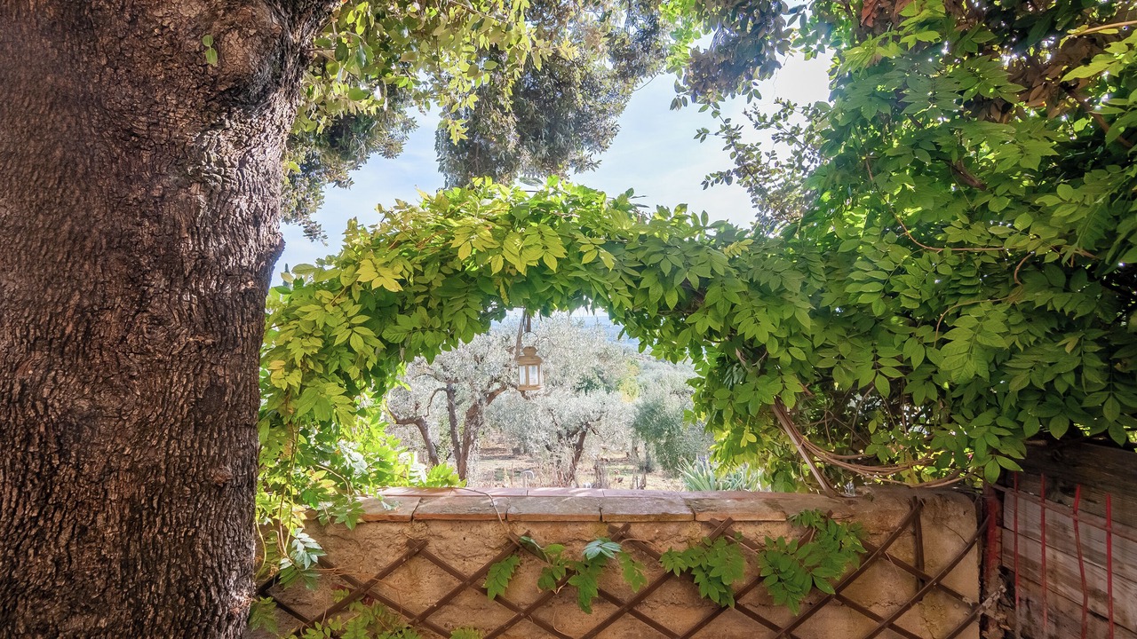 Photo of Outdoor in Gorgognano
