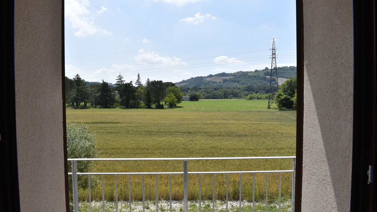 Photo of Others in Colli al Metauro