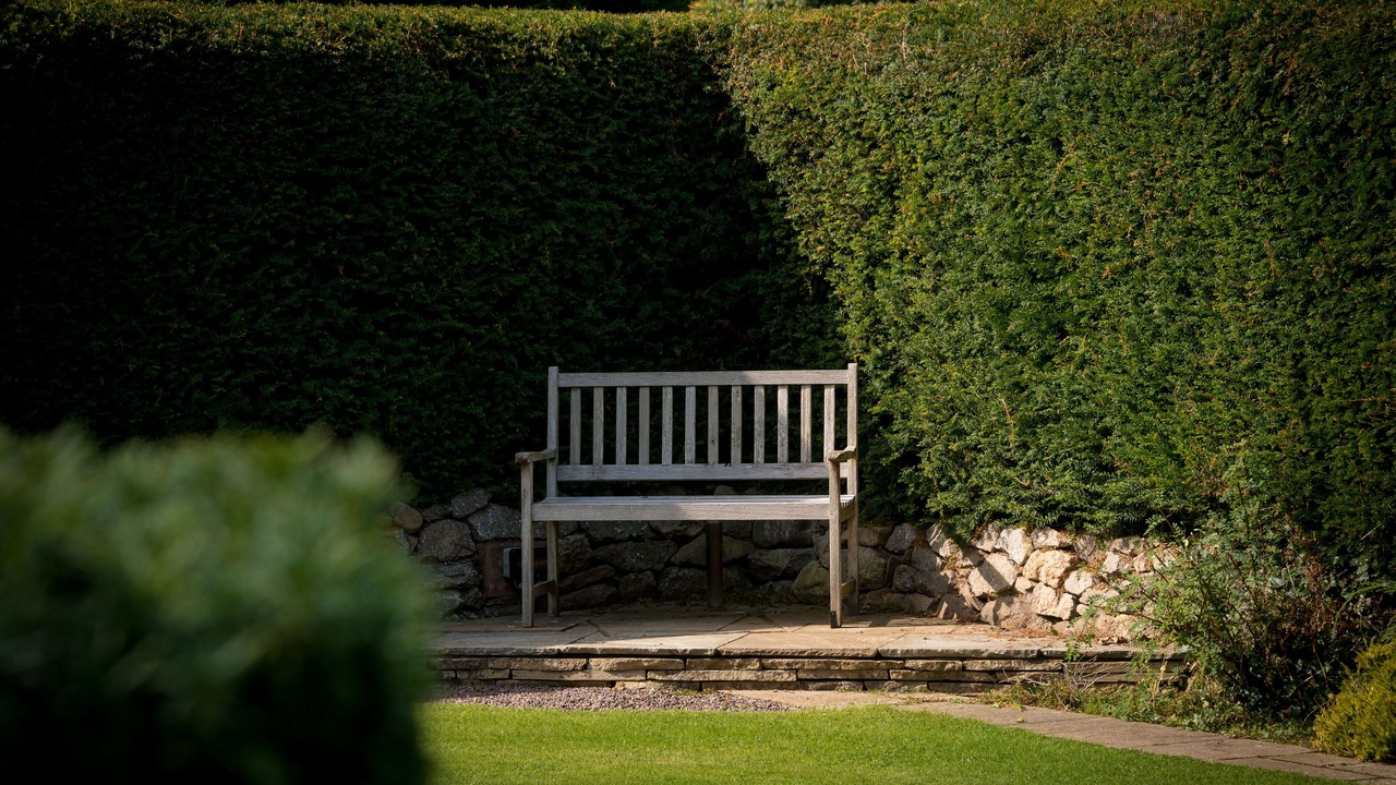 Photo of Outdoor in North Berwick
