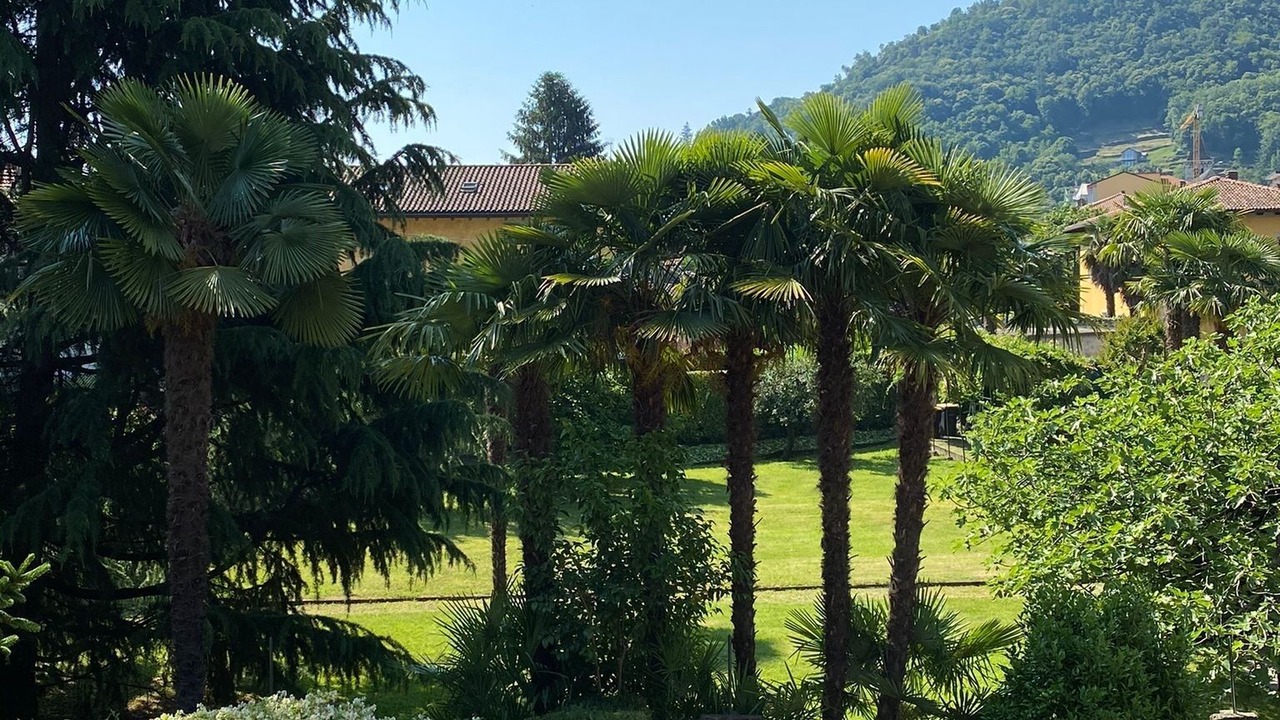 Photo of Outdoor in Cannobio