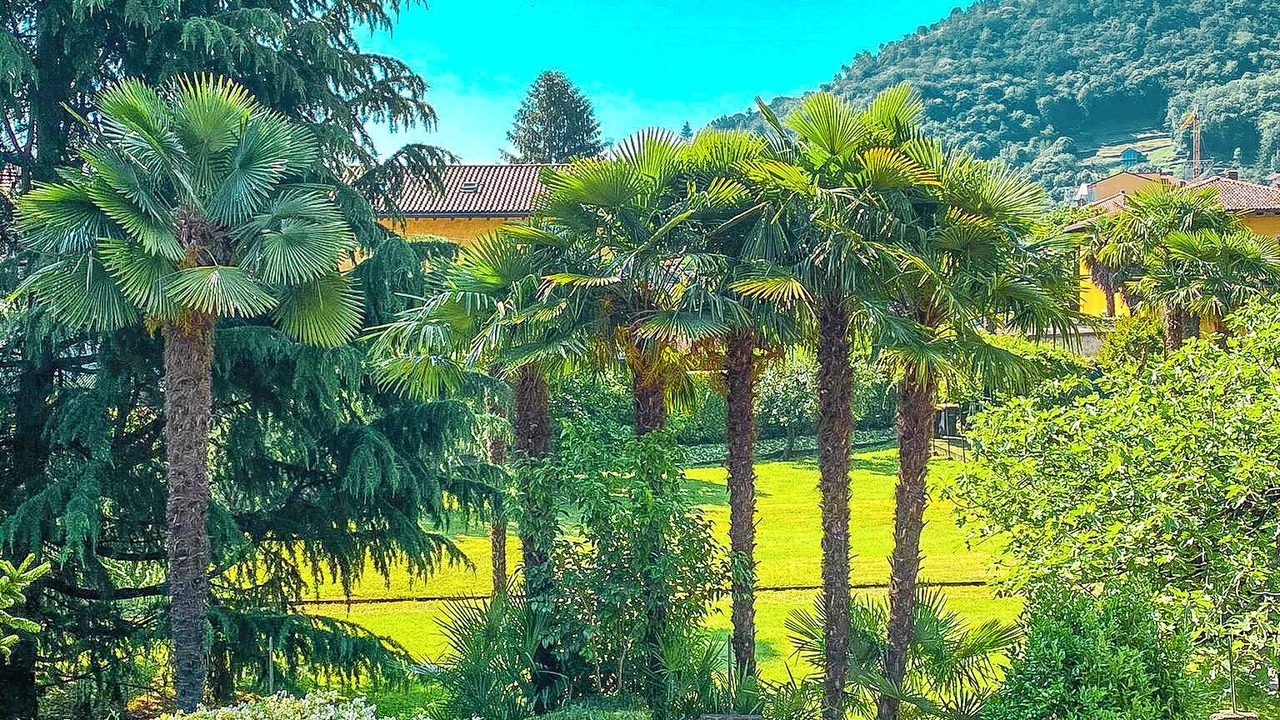 Photo of Outdoor in Cannobio