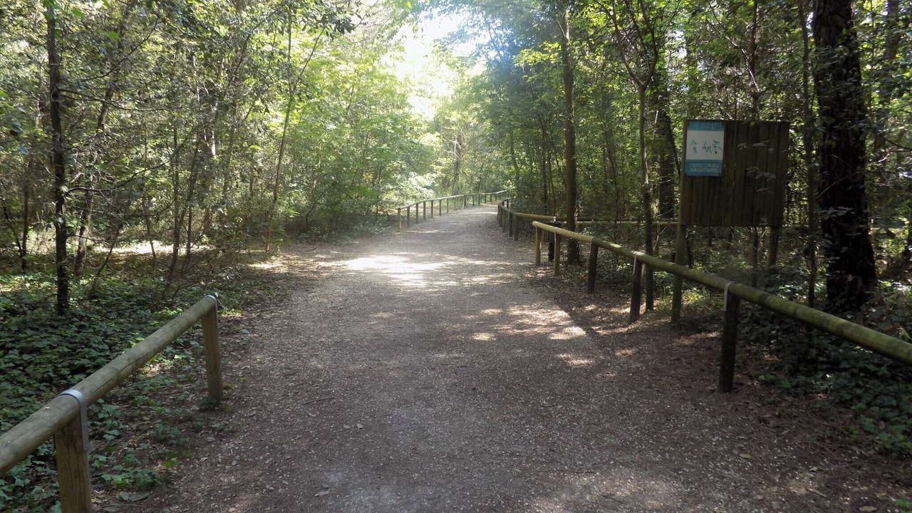 Photo of Outdoor in Eraclea Mare