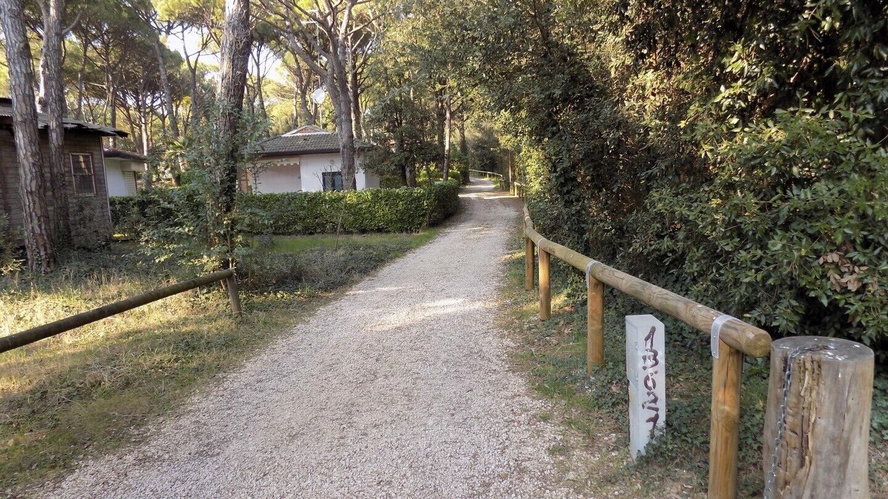 Photo of Outdoor in Eraclea Mare