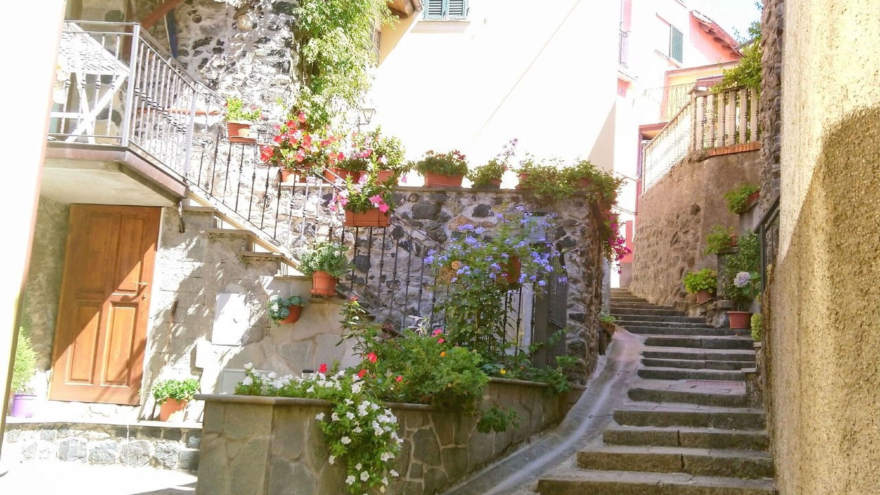 Photo of Outdoor in Mattarana