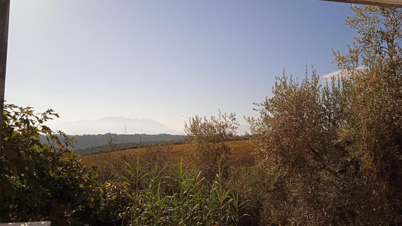Photo of Others in Moscufo