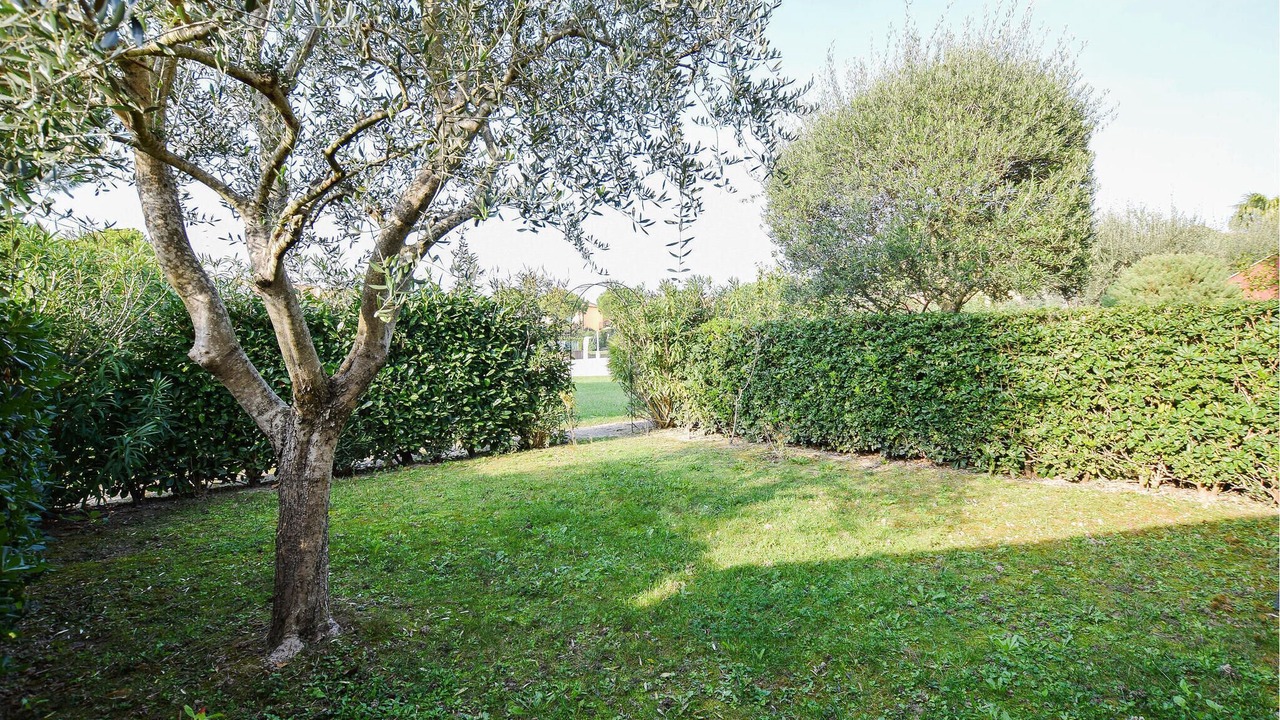 Photo of Others in Aprilia Marittima
