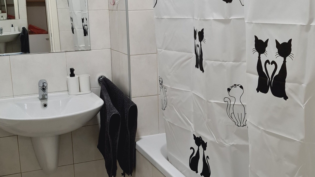 Photo of Bathroom in Novi Beograd