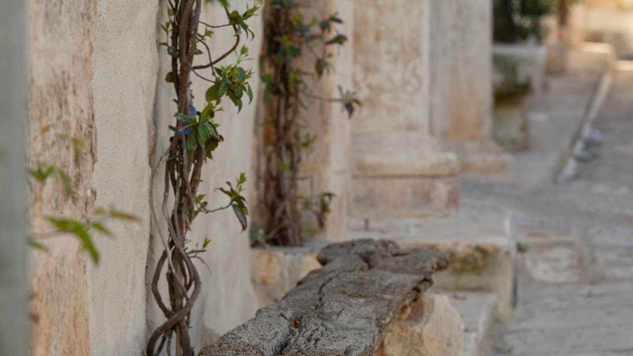 Photo of Others in Ostuni