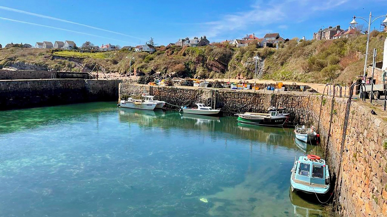 Photo of Others in Crail