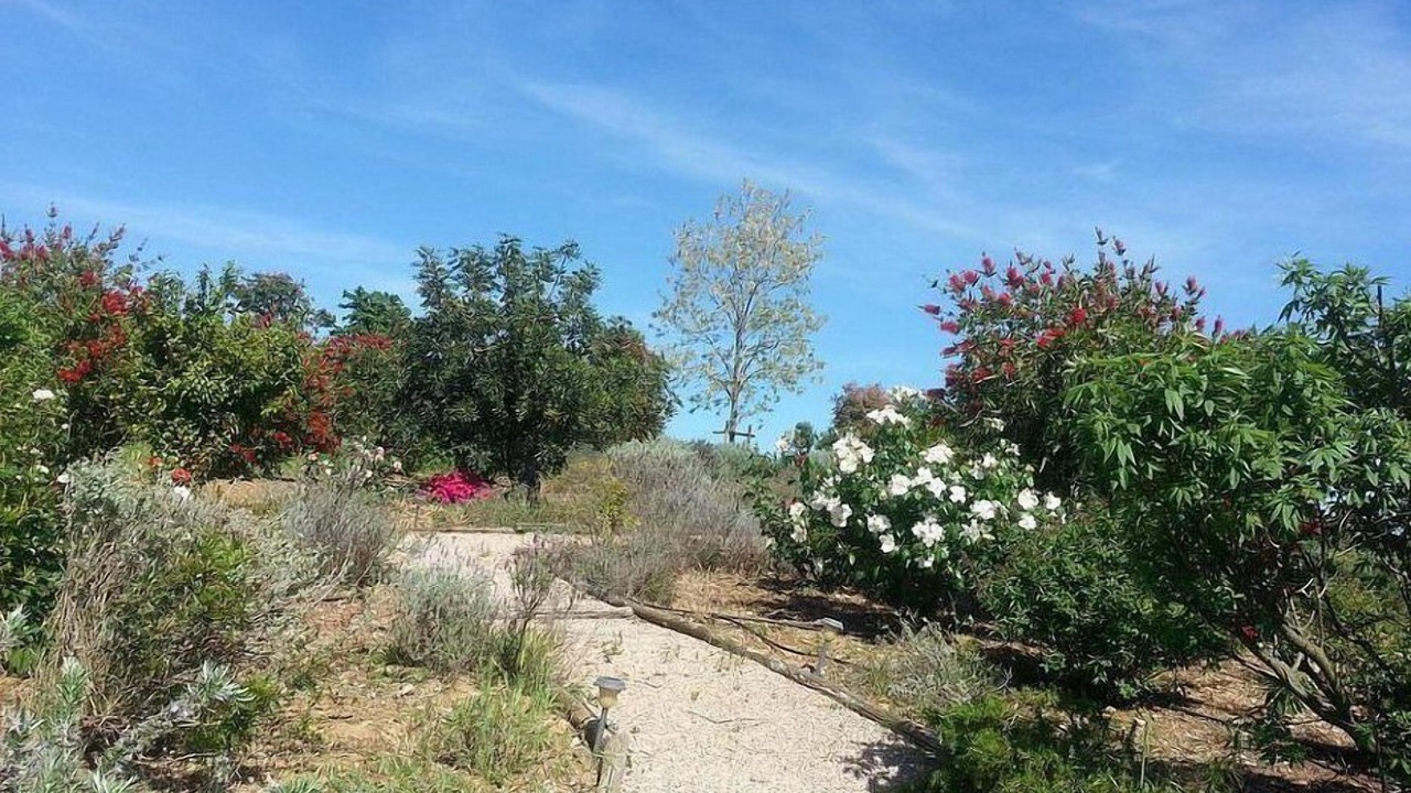 Photo of Outdoor in Montalto di Castro