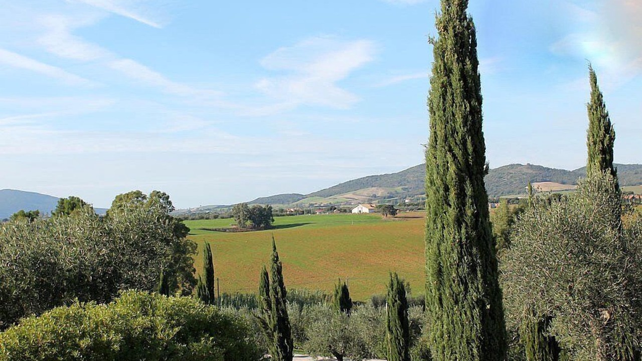Photo of Others in Montalto di Castro
