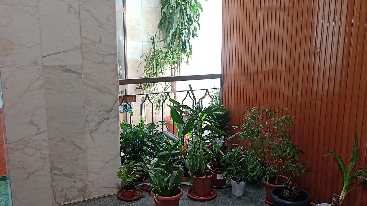 Photo of Others in Villa San Giovanni