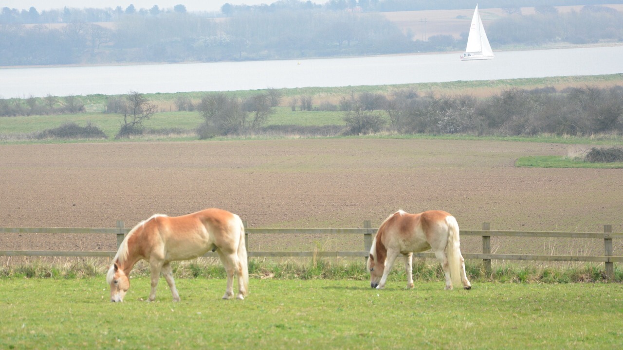 Photo of Outdoor in Martlesham Heath