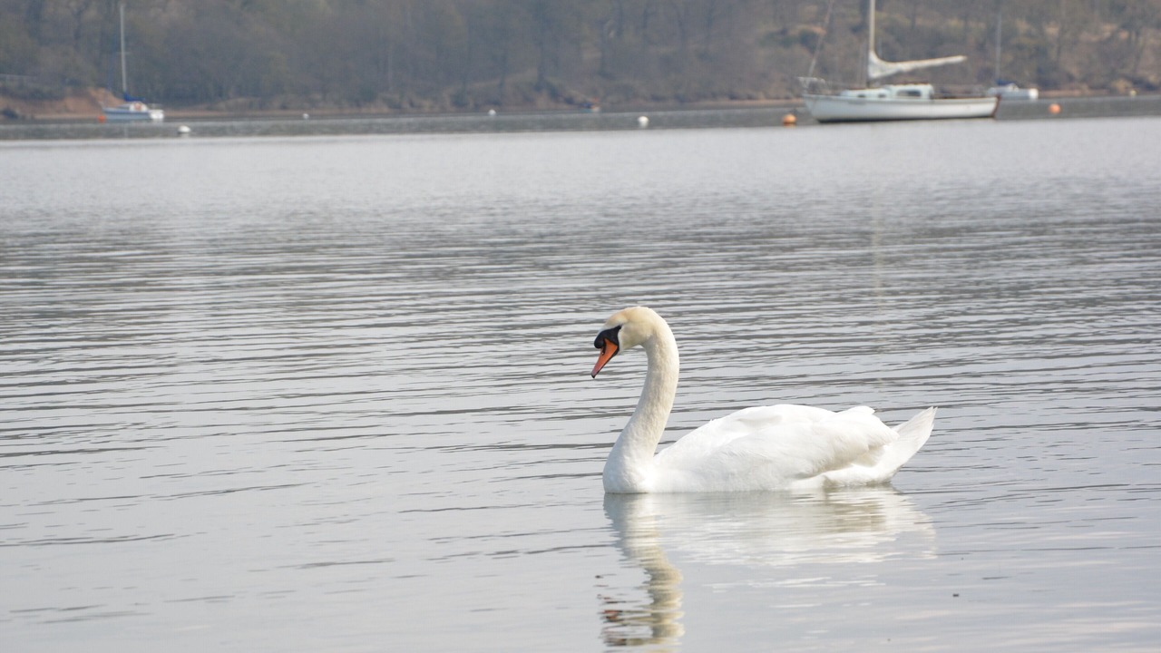 Photo of Others in Martlesham Heath