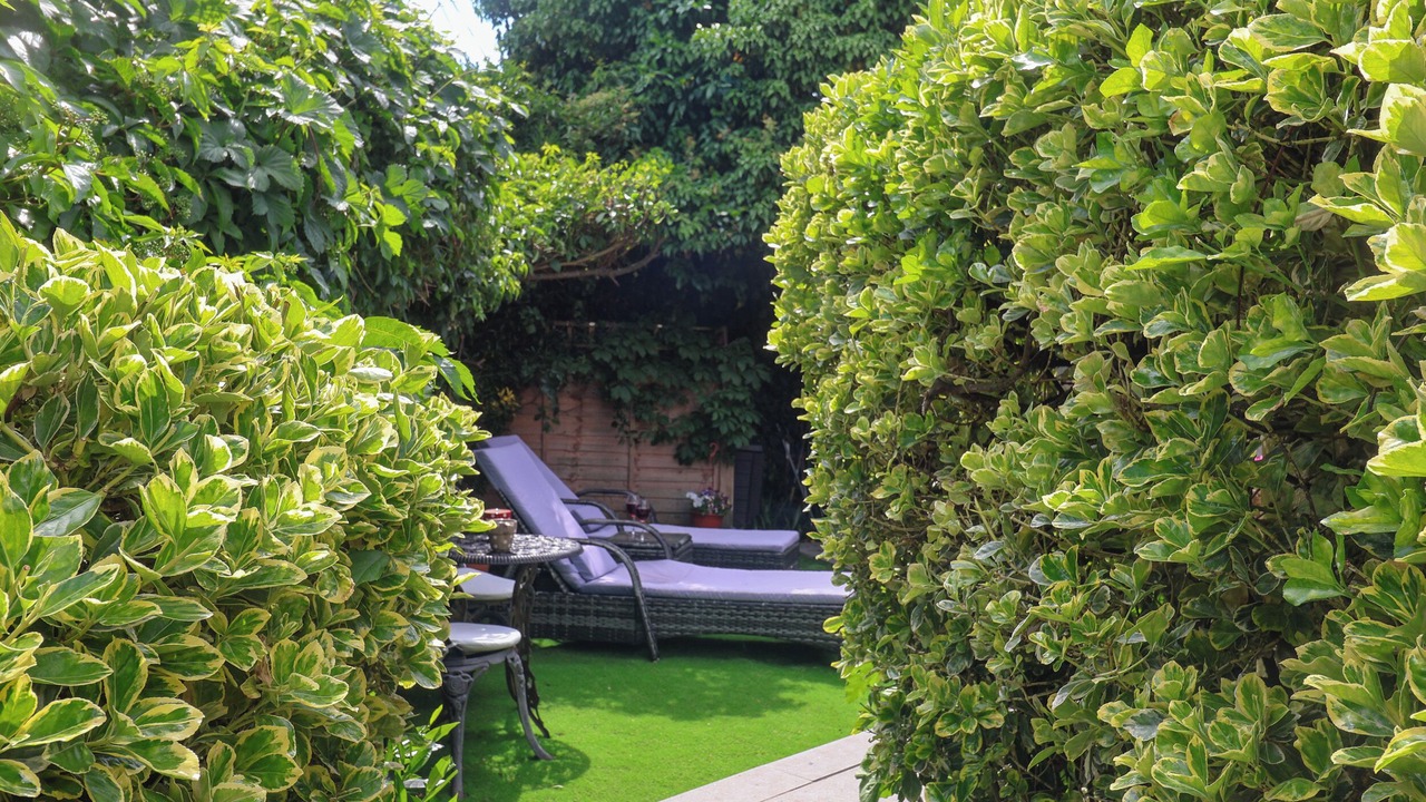 Photo of Outdoor in Martlesham Heath