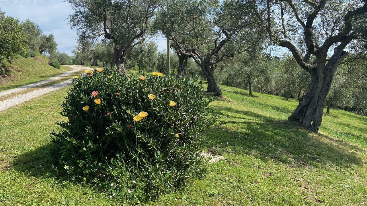 Photo of Outdoor in Viterbo