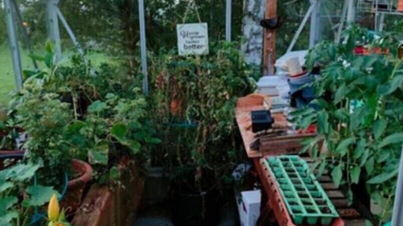 Photo of Outdoor in Kinallen