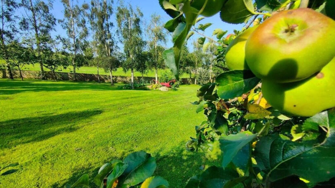 Photo of Outdoor in Kinallen