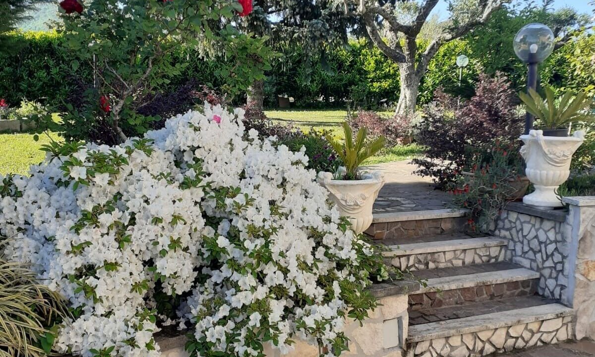Photo of Outdoor in Velletri