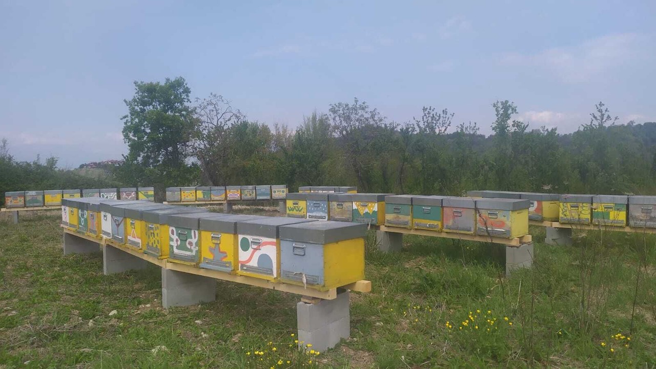 Photo of Outdoor in Lauriano