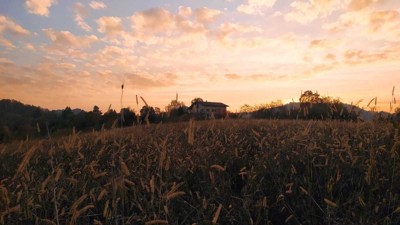 Photo of Outdoor in Lauriano