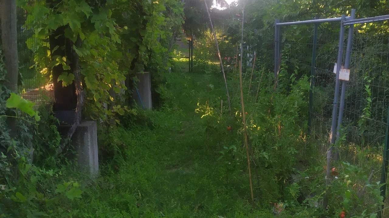 Photo of Outdoor in Lauriano